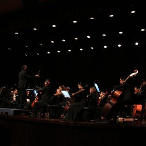 IMG_4429