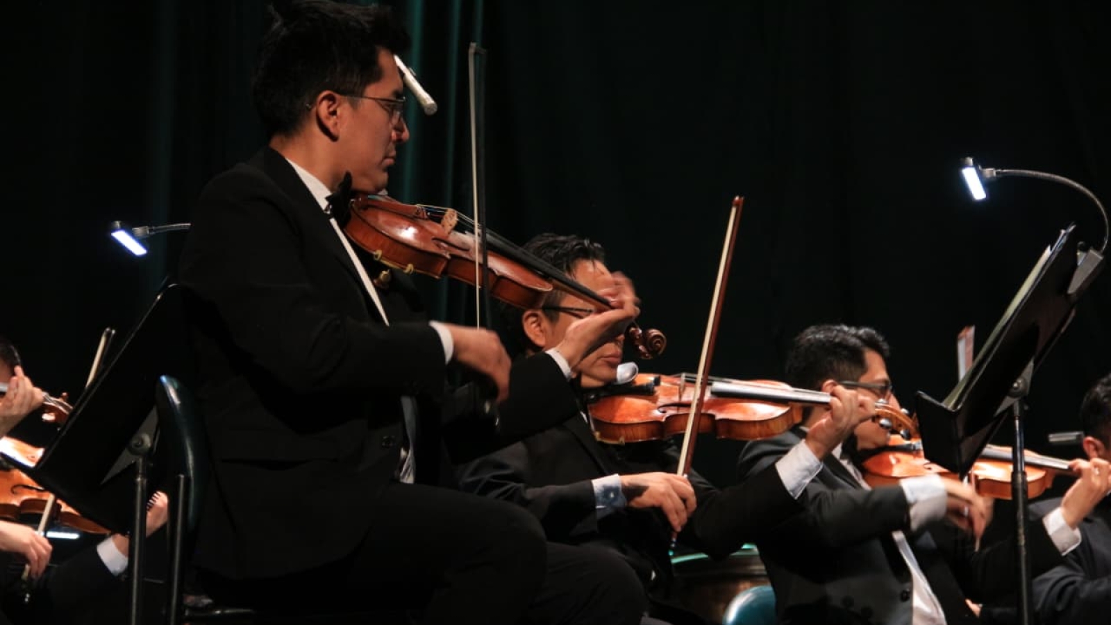 WhatsApp Image 2025-11-04 at 2.25.41 PM (1)