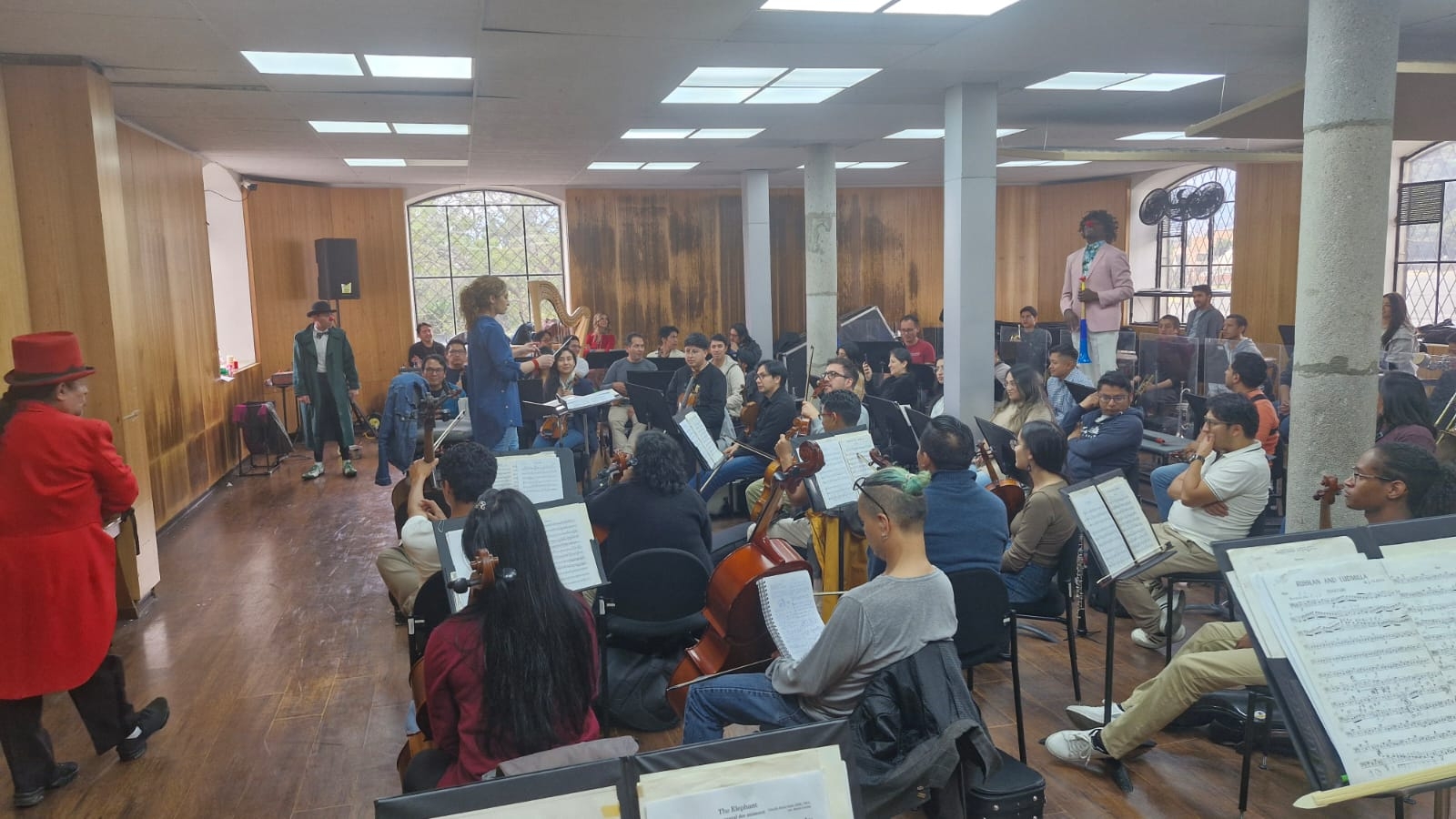 boletin circorquesta